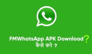 FM Whatsapp kya hai hindi