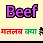 beef kya hota hai in hindi