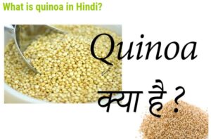 quinoa kya hota hai