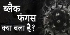 black fungus kya hota hai in hindi