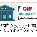 CIF number kya hota hai