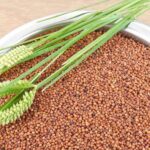 Benefits of Ragi in Hindi