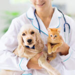 Best Tips for Choosing Right Pet Insurance